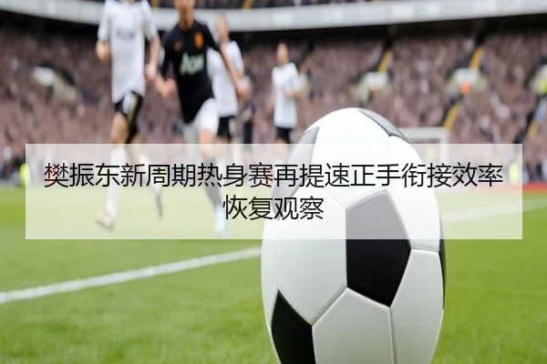 樊振东新周期热身赛再提速正手衔接效率恢复观察 | Kaiyun
